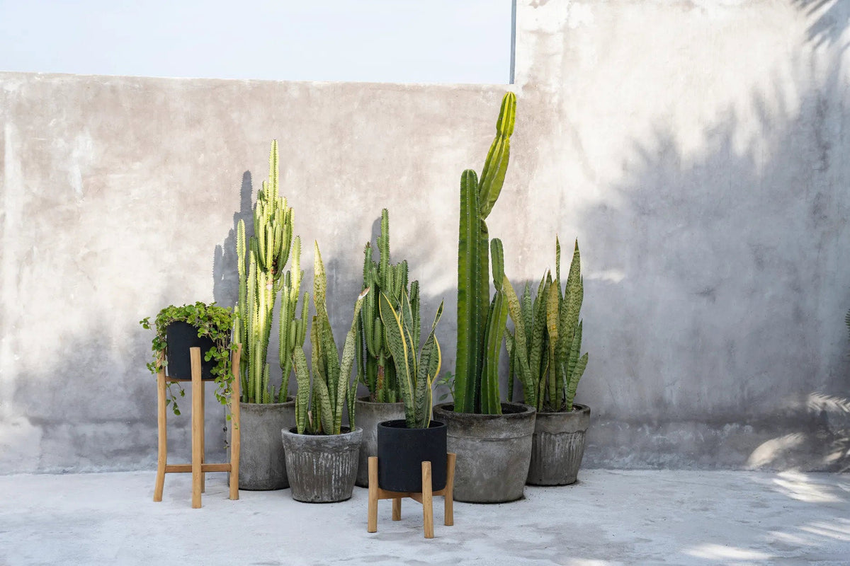 Charcoal Høj Plantekasse Sort Small Bazar Bizar