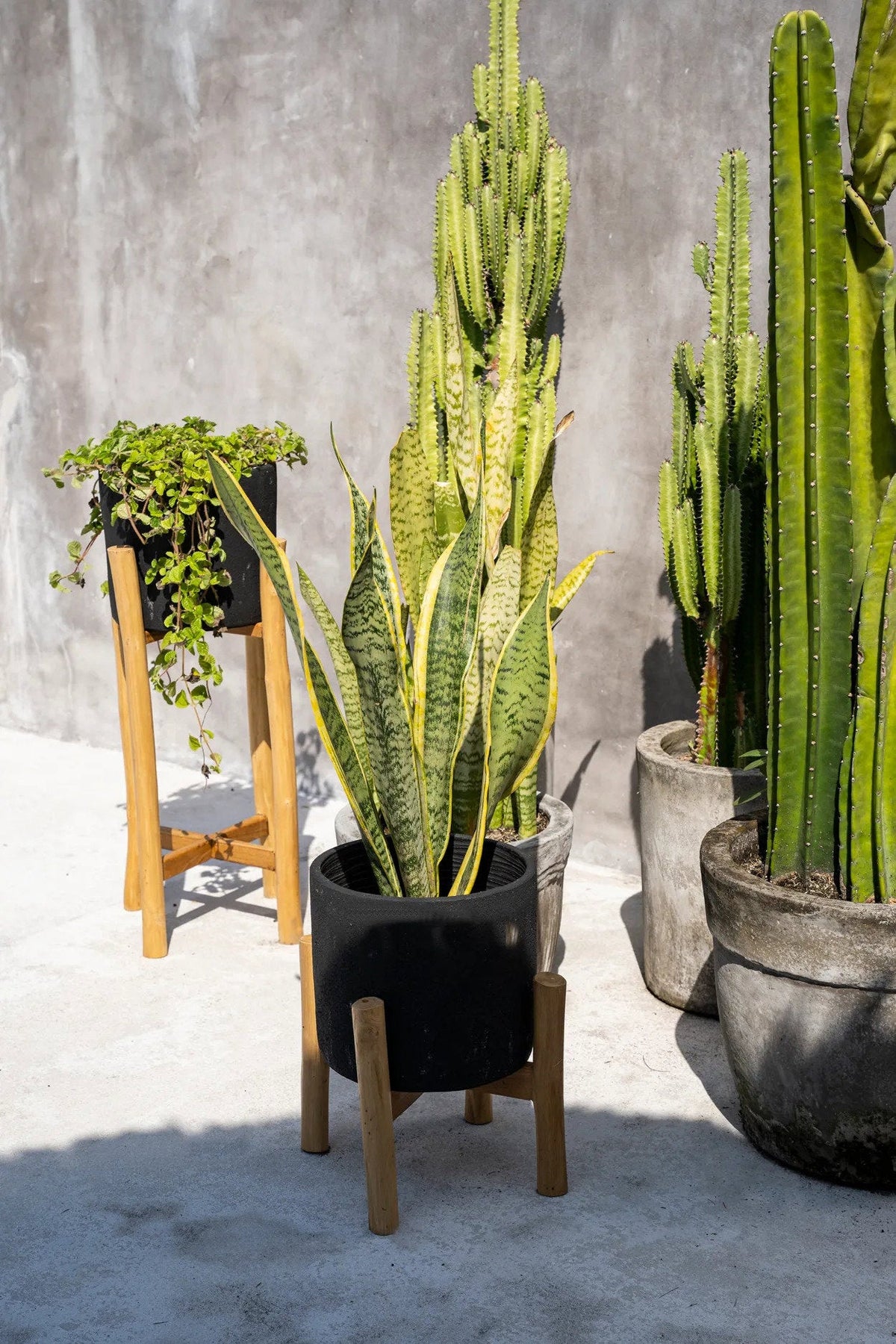 Charcoal Høj Plantekasse Sort Small Bazar Bizar