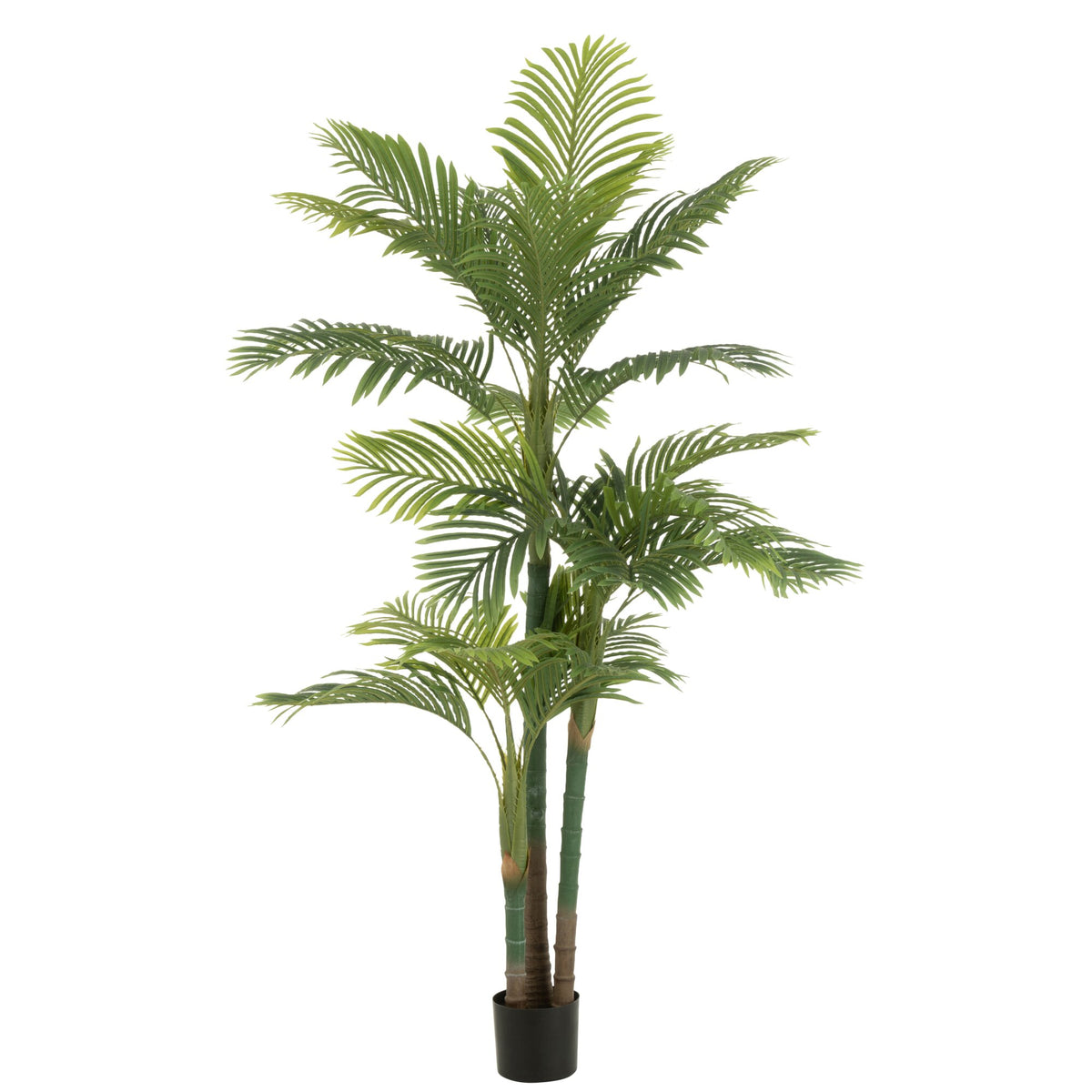 Arecapalme i potte, grøn plast, H180 cm, J-Line