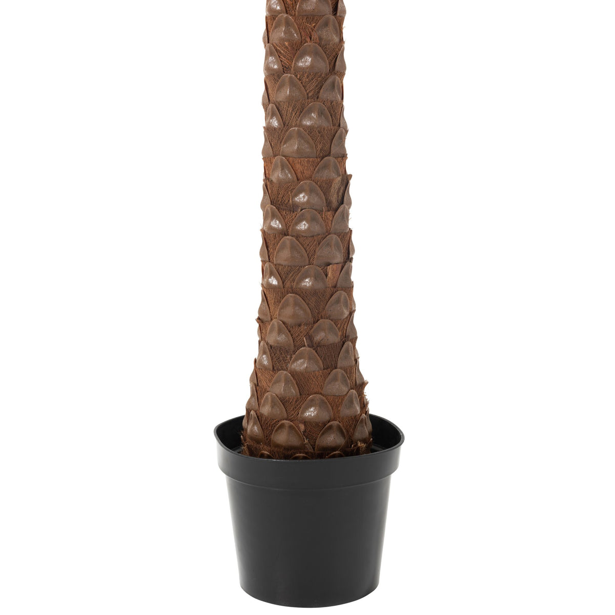 Palmetre Med 4 Kokosnødder I Pot Plastik Grøn H350cm J-Line