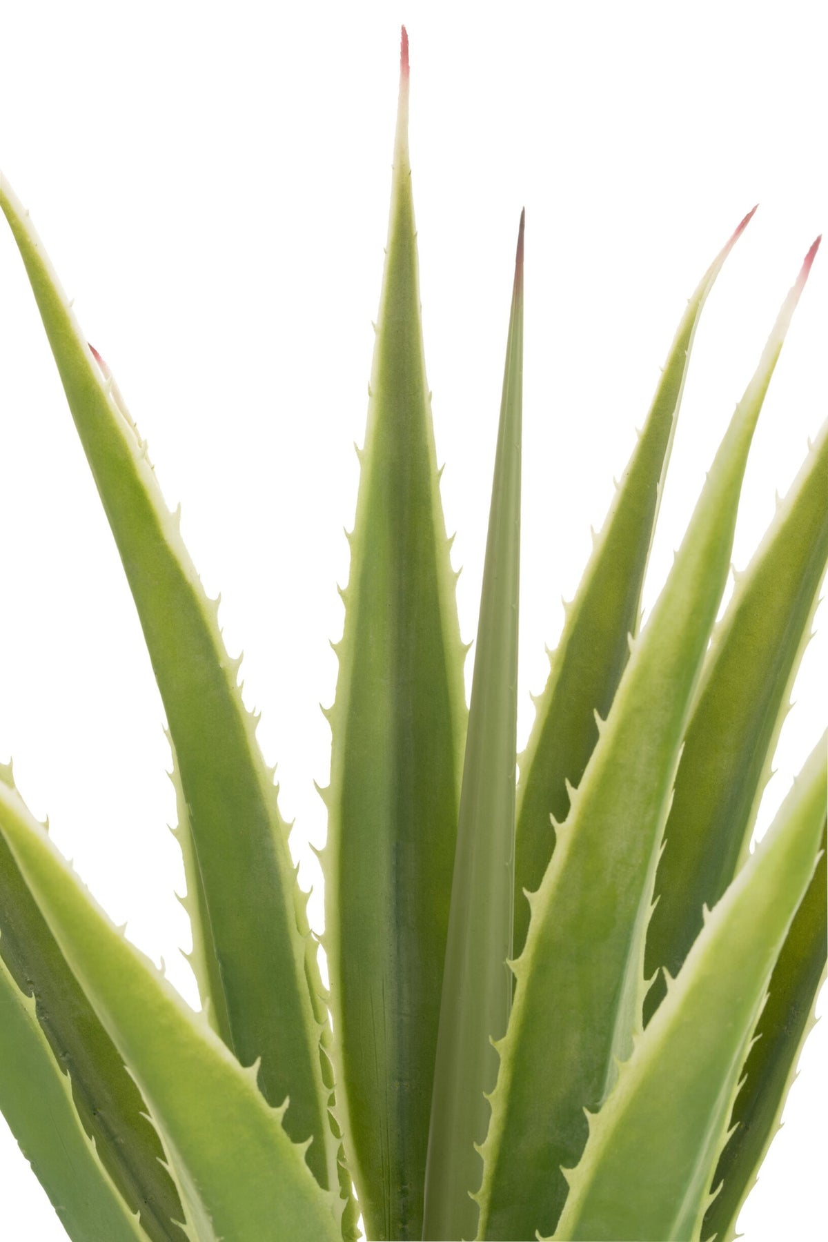 Agave knækket hvid med kunstigt grønt 80x80x150 cm