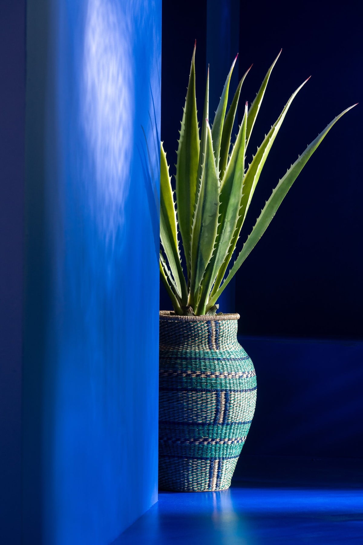Agave knækket hvid med kunstigt grønt 80x80x150 cm