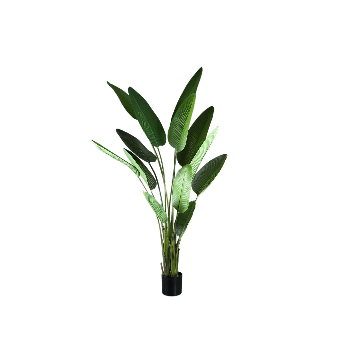 Bladeplante Grøn PE Real Touch Strelitzia L 110x63x235 cm PTMD