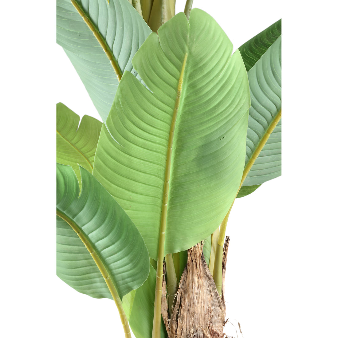 Grønt PE-banantræ med ægte touch L 170x163x280 cm PTMD