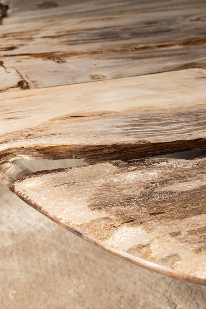 Sofabord Deeba petrified wood 130 PTMD