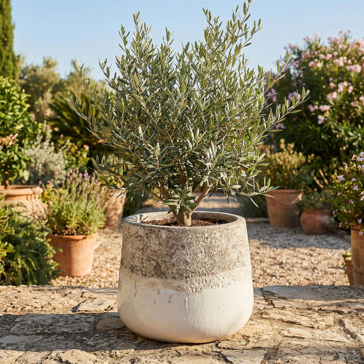 Bloempot Lenz Keramiek Met Structuur Wit Medium PTMD
