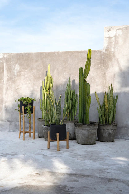 Charcoal Høj Plantekasse Sort Small Bazar Bizar