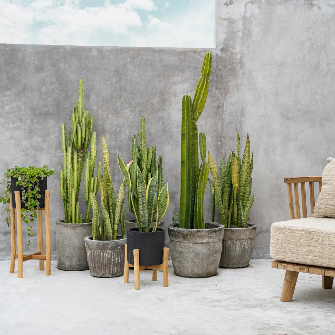Charcoal Høj Plantekasse Sort Small Bazar Bizar