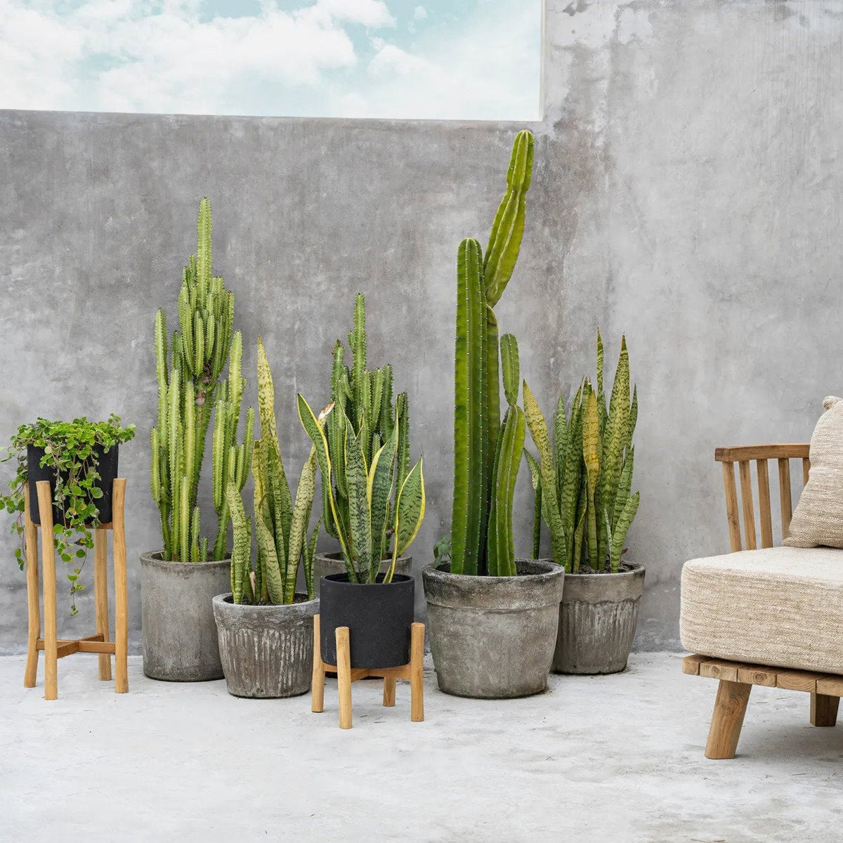Charcoal Høj Plantekasse Sort Small Bazar Bizar