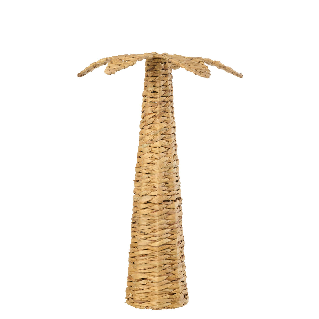 Palme Vandhyacint Natur Large J-Line