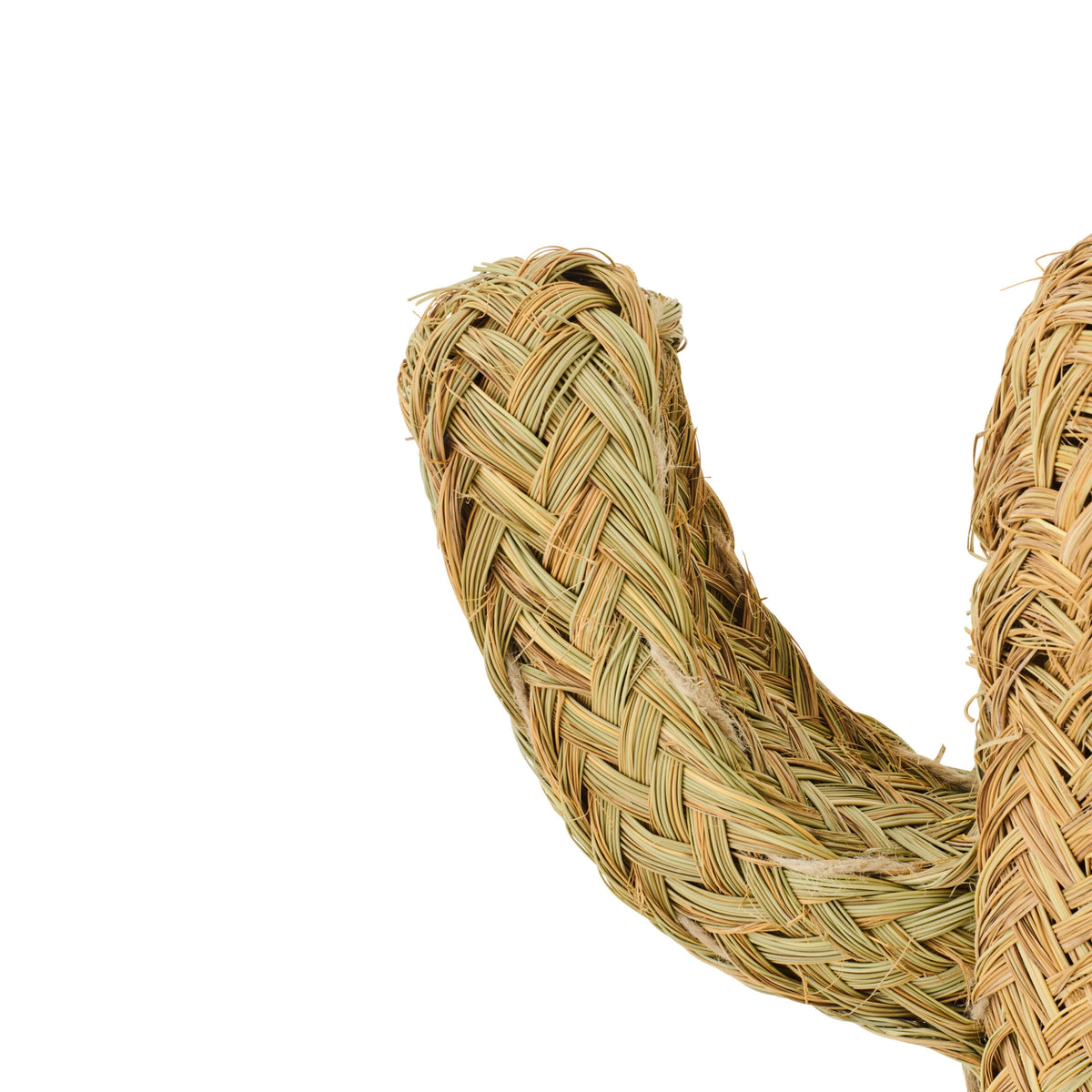 Cactus Grass Natural Small J-Line