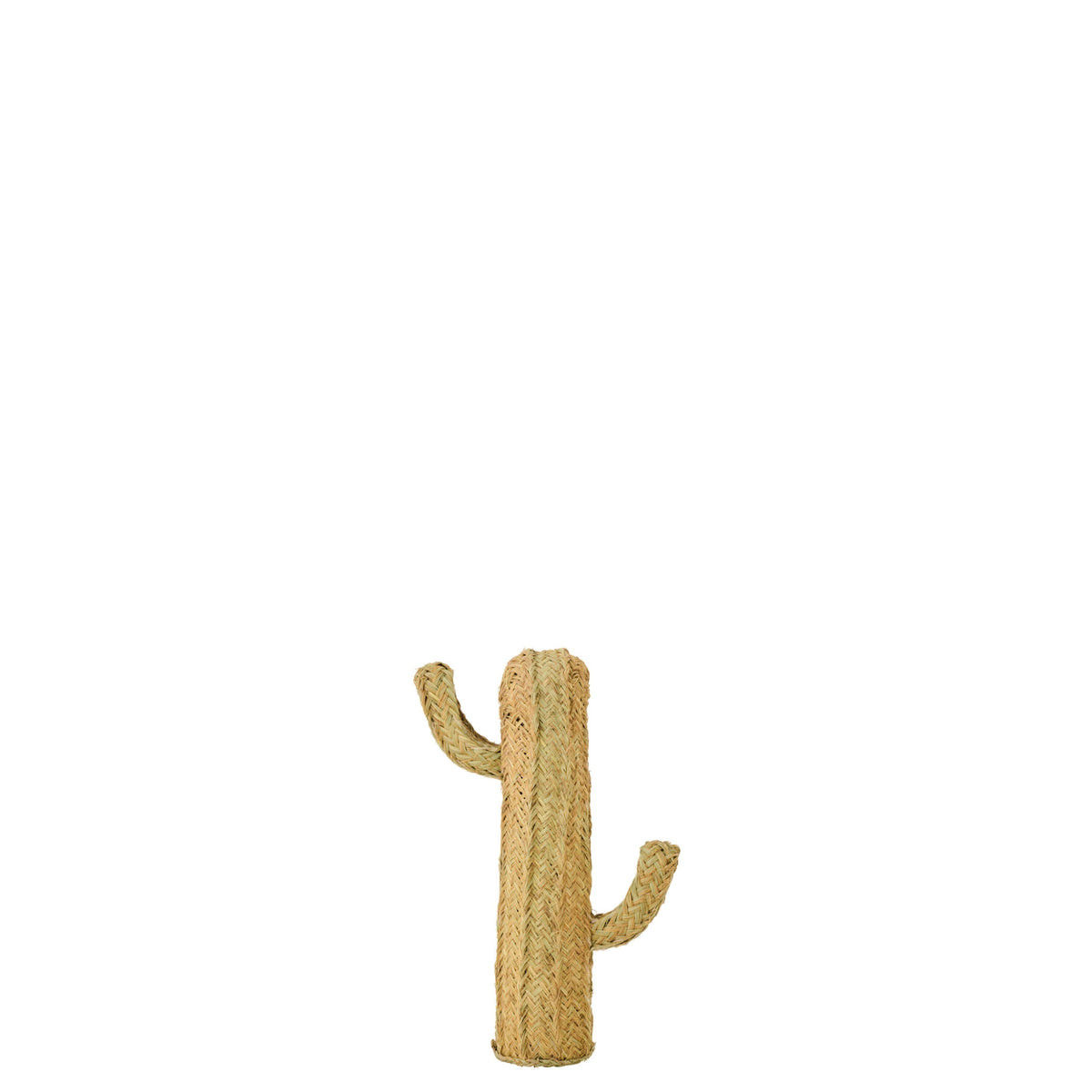 Cactus Grass Natural Small J-Line