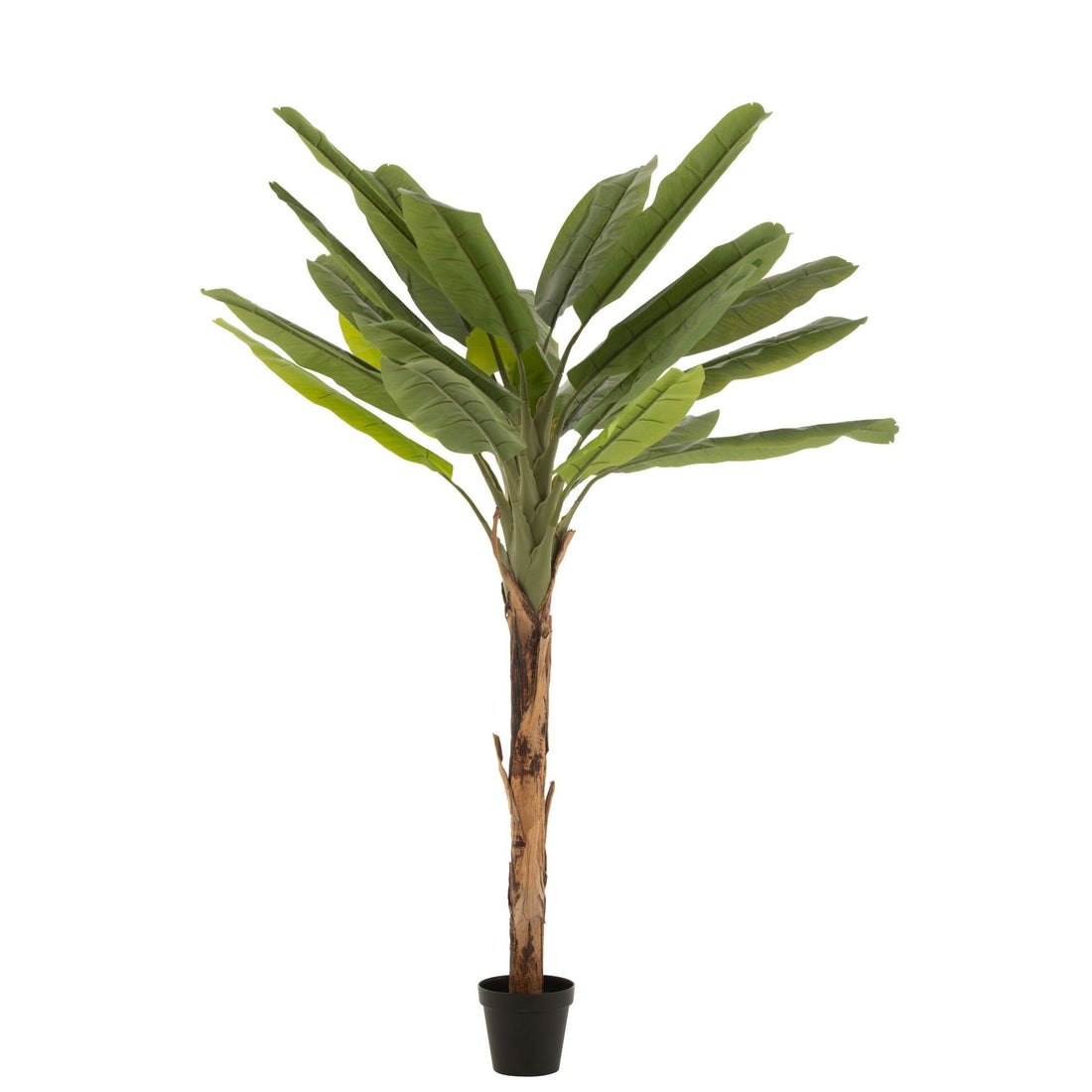 Bananplante i plast, grøn/brun, H 250 cm, J-Line