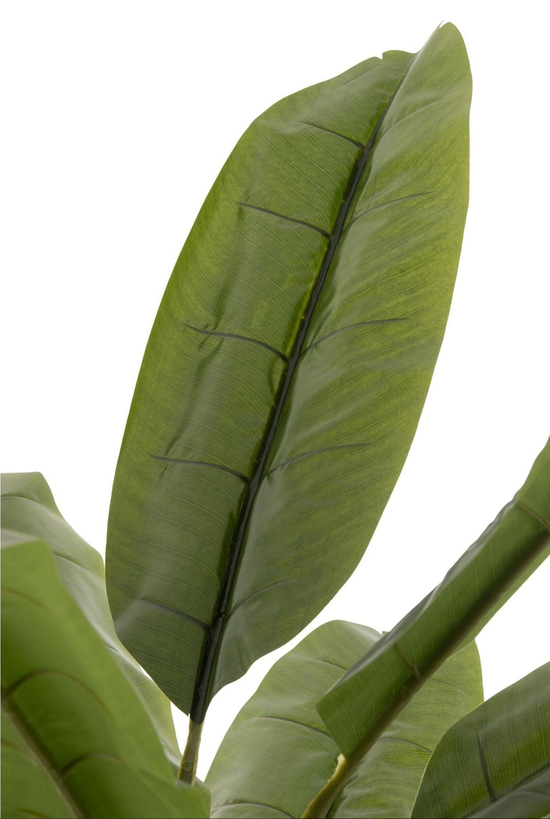 Bananplante i plast, grøn/brun, H 250 cm, J-Line