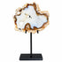 Josha Ornament Koraal Kristal Naturel Plak Large van PTMD, grote plak koraal kristal op standaard op witte achtergrond