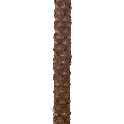 Palmetre Med 4 Kokosnødder I Pot Plastik Grøn H350cm J-Line